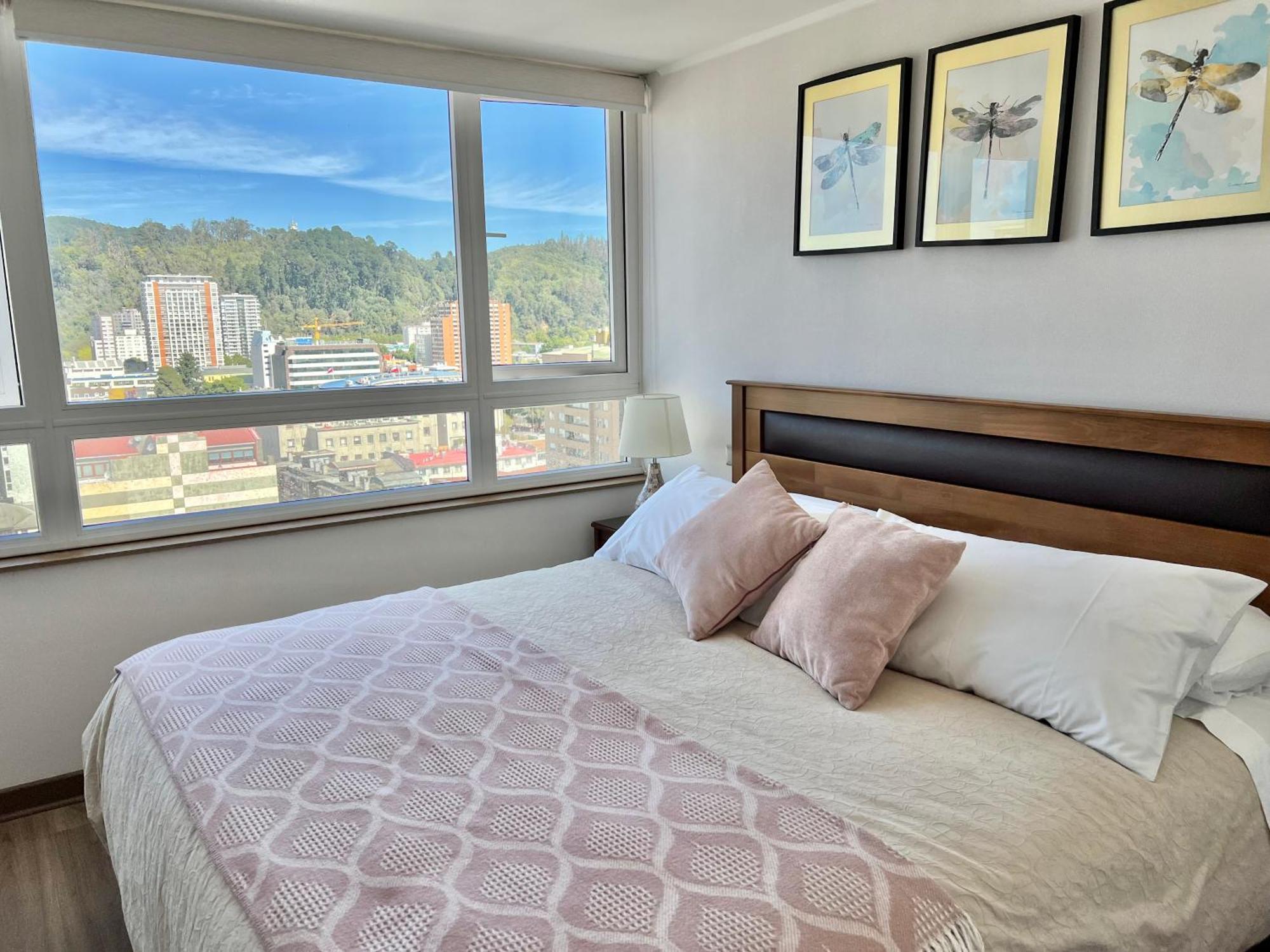 Apartamentos Concepcion Centro Eksteriør bilde